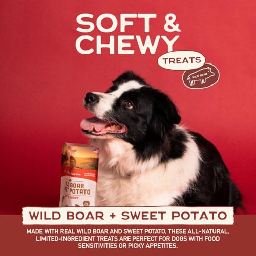 Healthy Soft Dog Treats (5 Ounce (Pack of 3))