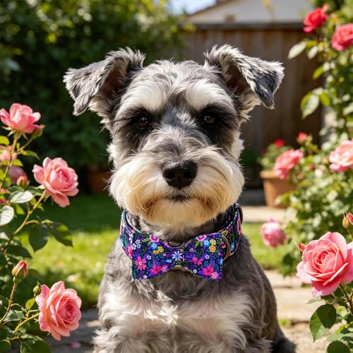 Dog Collar Floral Pattern Pet Collars with Bow Girl (Blossom / X-Small (Pack of 1))