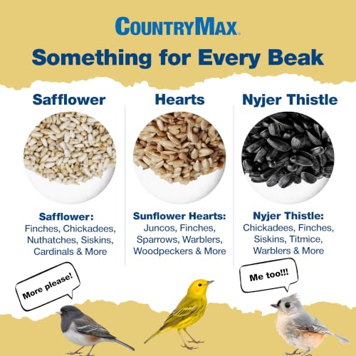 10LB Safflower Bird Seeds for Outside Feeders (Safflower / 10 Pound (Pack of 1))