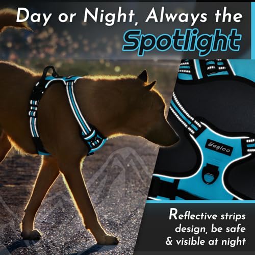 Dog Harness for Large Dogs (Large / Sky Blue)