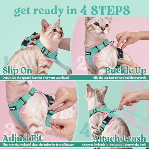 Cat Harness and Leash