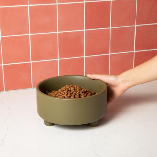 Uplift Elevated Ceramic Dog Bowl (Large / Olive)