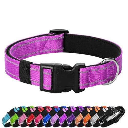 Reflective Dog Collar (Magenta / XS:width 5/8"neck 8-10.5")