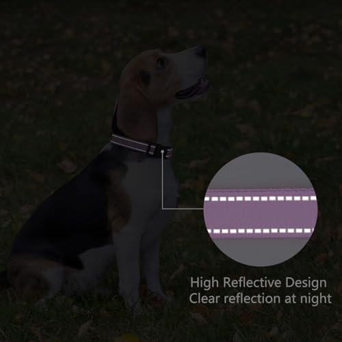 Reflective Dog Collar (Lavender / XS:width 5/8"neck 8-10.5")