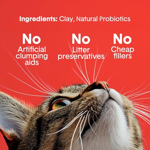 Boxie Extra Strength Clumping Cat Litter Multi Cat 35 Day Odor Control 40lb (40 lb)