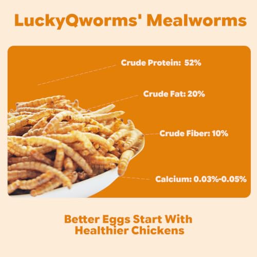 22lb Dried Mealworms for Chickens Duck High Protein Birds Treat (22 Pound (Pack of 1))