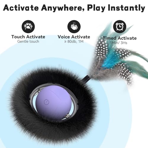 Interactive Cat Toy (No Cat No Life)