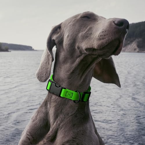 Biothane Waterproof Dog Collar with Quick Release Buckle Strong Coated Nylon Webbing with Odor (5/8"W by 10-14"L / Tropical Green)