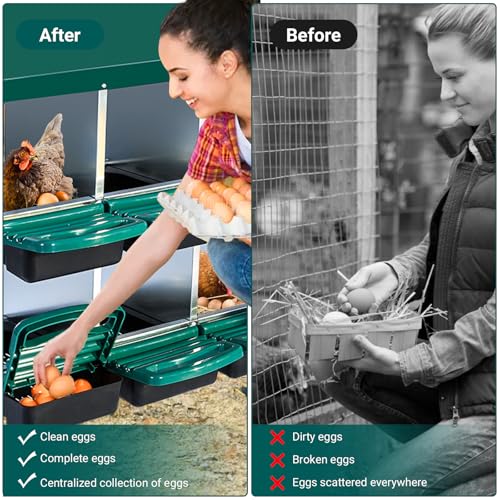 Chicken Nesting Box (Green- 10 compartment)