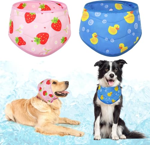 Dog Cooling Bandana (Strawberries+Duck / Neck Girth(12-20in))