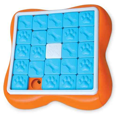 Nina Ottosson Challenge Slider Dog Toy Treat Puzzle