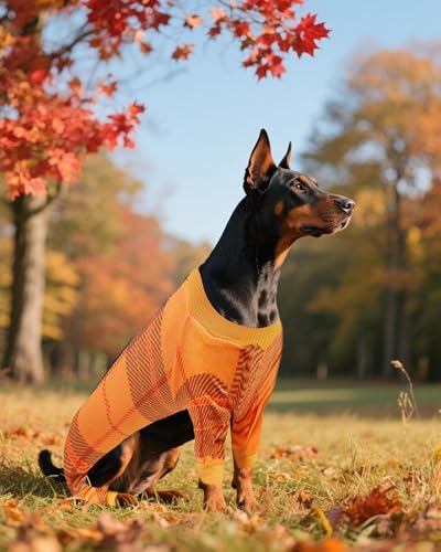 4 Pack Plaid Fleece Dog Pajamas Warm for Extra Large Dogs (XX-Large)