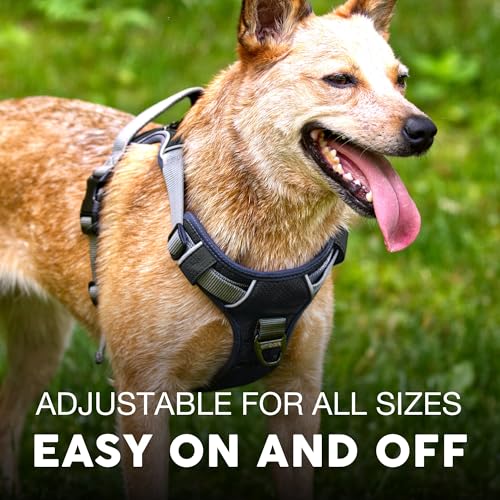 Embark No Pull Dog Harness (M / Black)