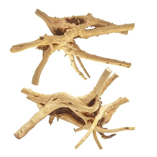 Natural Large Spiderwood Driftwood for Aquarium Decor Rptile Fish Tank Decoration Assort Branch 11 (Spiderwood 11 to 14 Inch (Pack of 2))