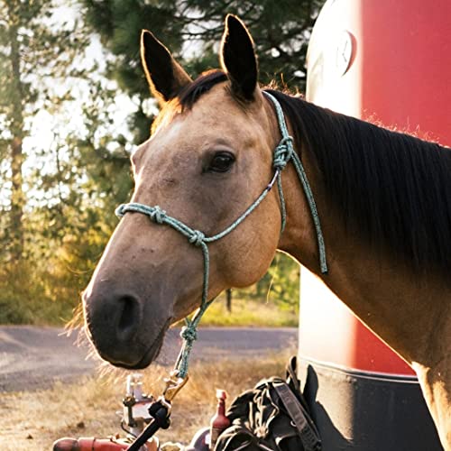 Horse Rope Training Halter (Brown / Mule)