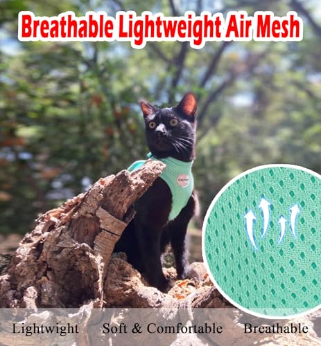 Cat Harness and Leash Set (M (Chest: 12" - 14") / Cyan)