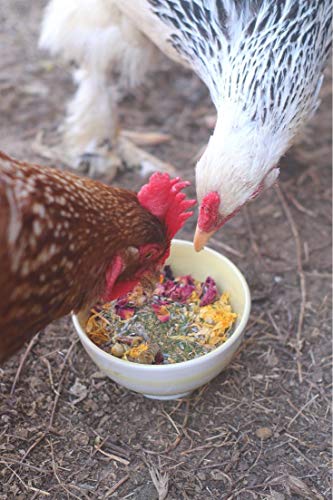 Premium Nesting Herbs for Chickens (1.25 Pound (Pack of 1))