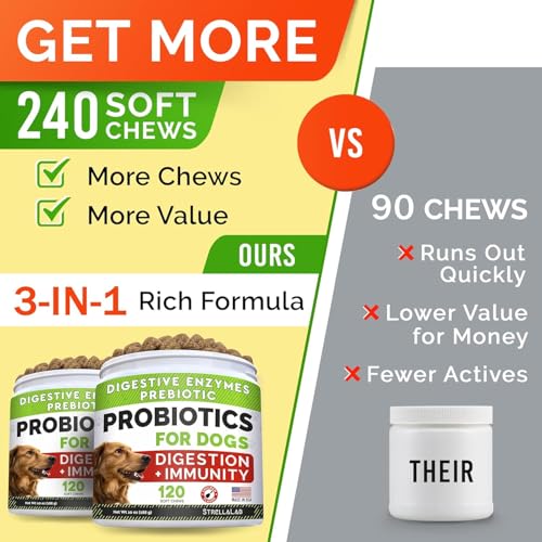 Dog Probiotics Treats for Picky Eaters (Probiotic Chews / 240Ct (Bacon))