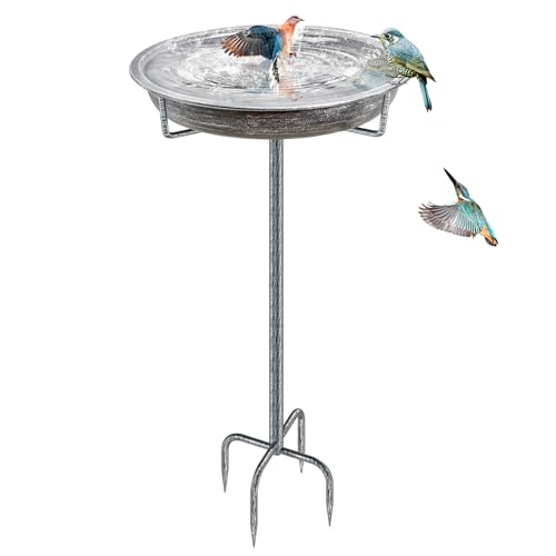Bird Bath for Outside (Retro Silver)