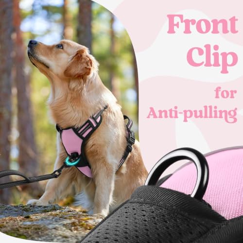 Dog Harness Small Sized (Small / Pink)