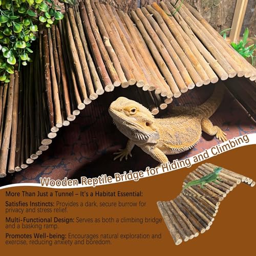 18.89"x 12.99" Reptile Hideout Wooden Bridge Lizard Hide Caves Bearded Dragon Habitat Accessories for Gecko Snake Frog Chameleon Iguana Tortoise