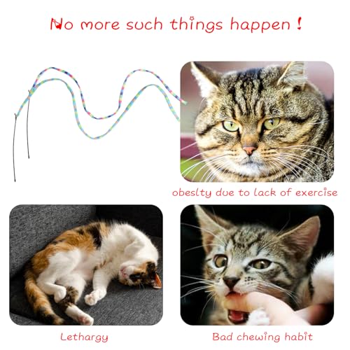 Cat Wand Toys Interactive Kitten Toys (3 PCS)
