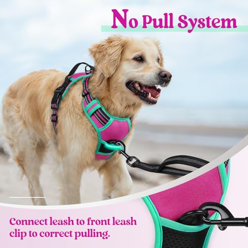 Dog Harness No Pull for Large Dogs with 2 Leash Clips (Large / Hot Pink & Turquoise)
