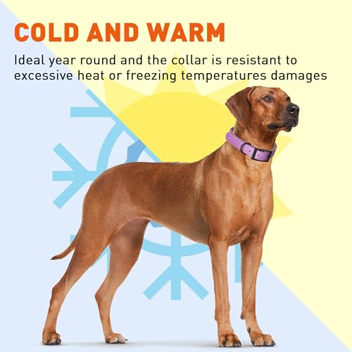 Biothane Waterproof Dog Collar Strong Coated Nylon Webbing with Black Hardware Odor (W1/2" x L9-12" / Amethyst Purple)