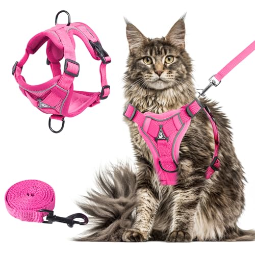 cat Chest Harness and Leash (rose red / XL:16.5-22.04lb)