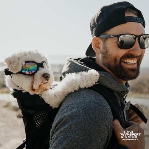 Plus 2 - Small, Jet Black - Ideal for Dogs 13-16” Long - Adjustable, Backpack-Style Carrier with Multi-Functional Storage Pack, Thick Shoulder Straps & Padded Back Panel (Jet Black / 9.8"L x 7.9"W x 16.9"H)