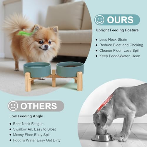 Elevated Dog Bowls Ceramic (5.1 in - 1.7 cups / Dark Green)