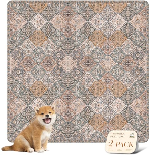 Washable Pee Pads for Dogs (36x36 Inch (Pack of 2) / Brown/Multi)