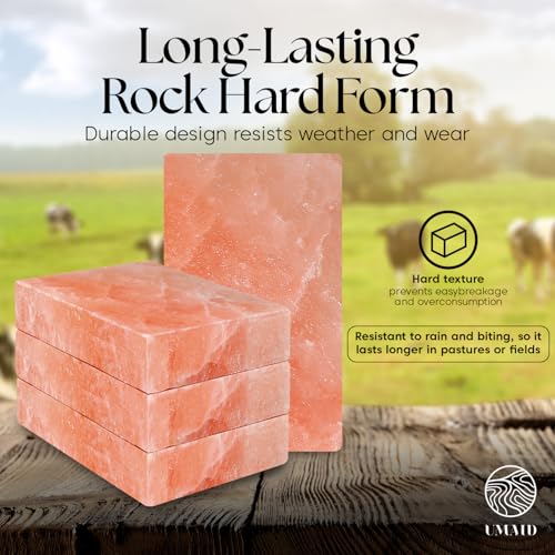 Himalayan Salt Block 4 (5 Pound (Pack of 4))