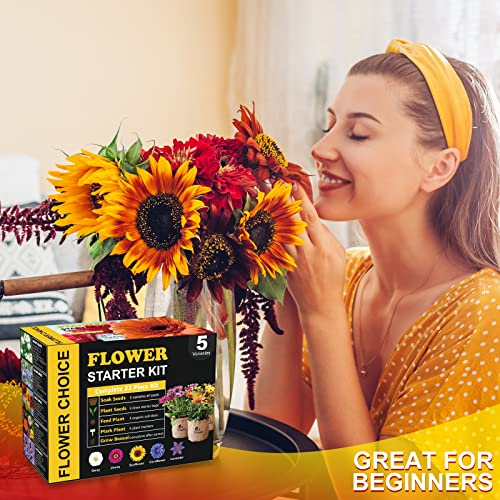 Indoor Daisy Garden Starter Kit with Gardening Tools