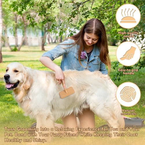 Slicker Brush for Dogs & Cats