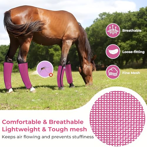 Mesh Horse Fly Boots Set of 4 (Pink)