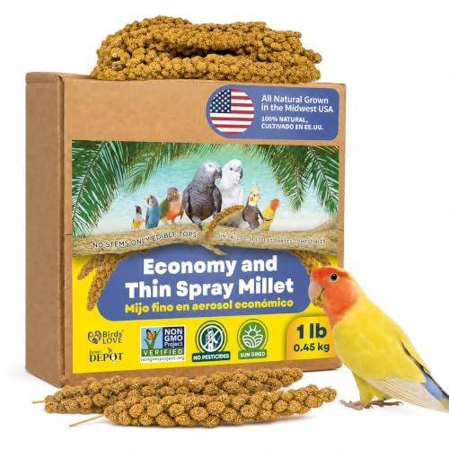 1lb Economy & Special Spray Millet for Birds (1 Pound (Pack of 1))