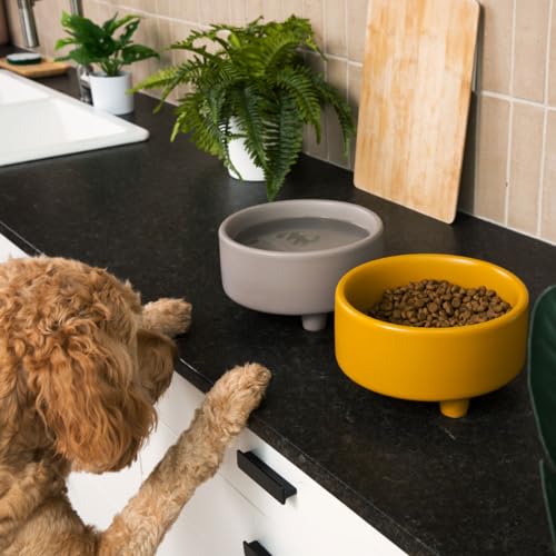 Uplift Elevated Ceramic Dog Bowl (Large / Speckle)