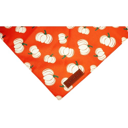Thanksgiving Fall Dog Bandanas 2 Pack (Fall / Small)