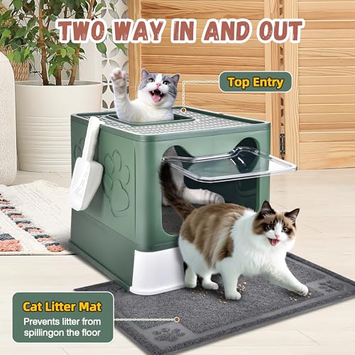 Covered Cat Litter Box (Green)
