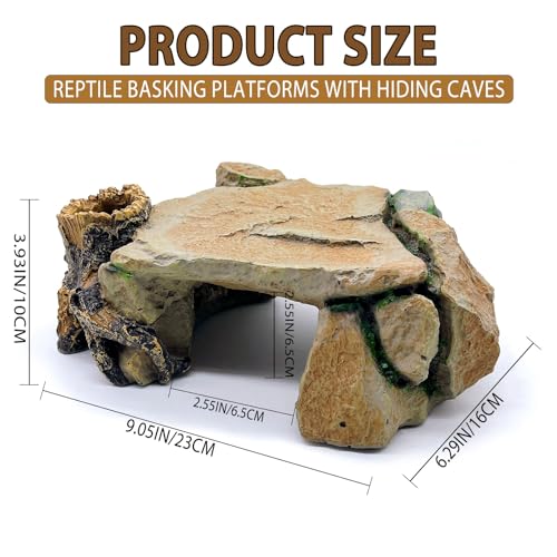 Reptile Hide Cave