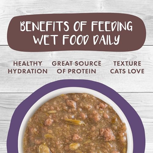 Classic Cat Stews! (3 Ounce (Pack of 12))