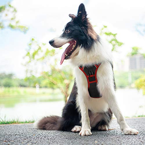 Upgraded No Pull Dog Harness (Black / Extra Small)