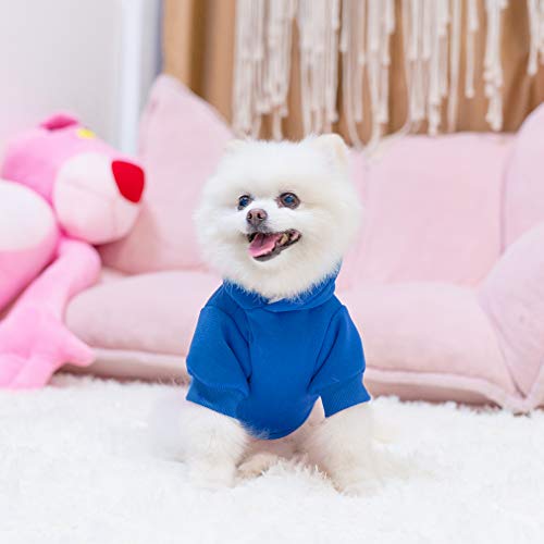 Dog Hoodie for Large Medium Small Dogs (Blue / Small)