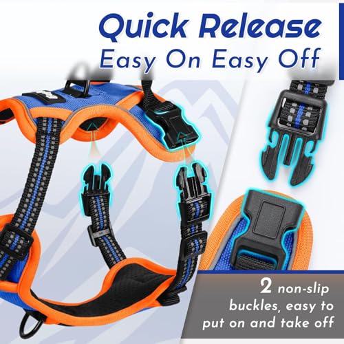Dog Harness for Small Dogs (Small / Blue & Orange)