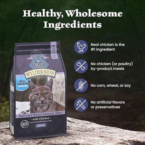 Wilderness Chicken Adult Dry Cat Food (15 Pound (Pack of 1))