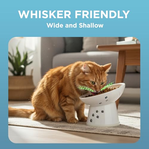 Necoichi Porcelain (Cat / Regular Tilted)