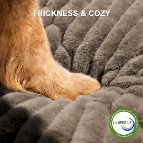 Dog Beds Large Sized Dog (Coffee / L(36"x27"x8"))
