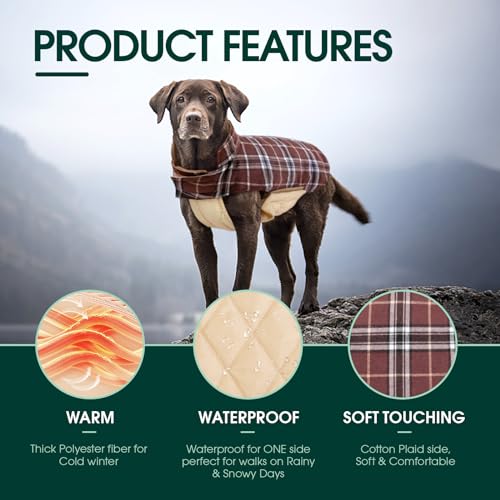 Waterproof Dog Coat (Brown / Small (Pack of 1))