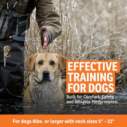 WetlandHunter 425X Remote Trainer (Camoflauge / 1-Dog)